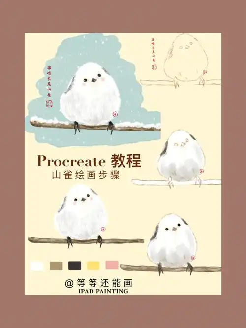 procreate教程丨雪中小精灵北长尾山雀