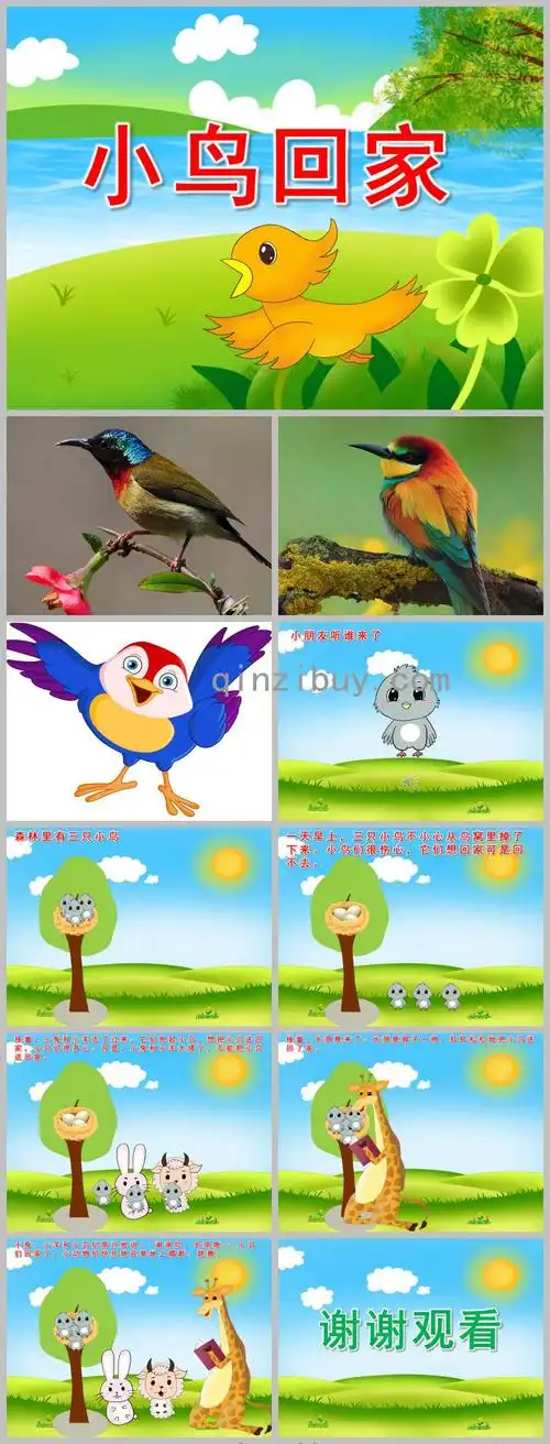 小班美术小鸟回家ppt课件教案