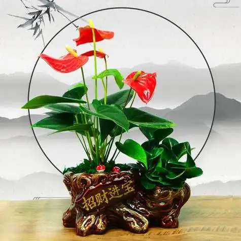 花卉头像图片大全 花卉微信头像图片大全集_布阁拉