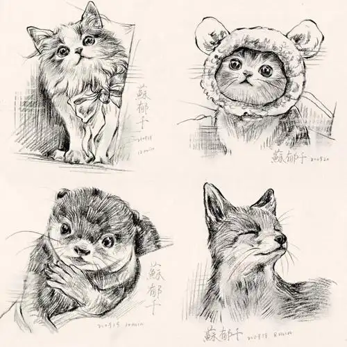 最近画的小动物,(:3っ )へ##速写  #画画  #绘画日常  #小动物  #手绘