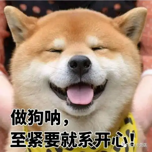 柴犬萌贱表情包主人你的脑洞也太大了吧