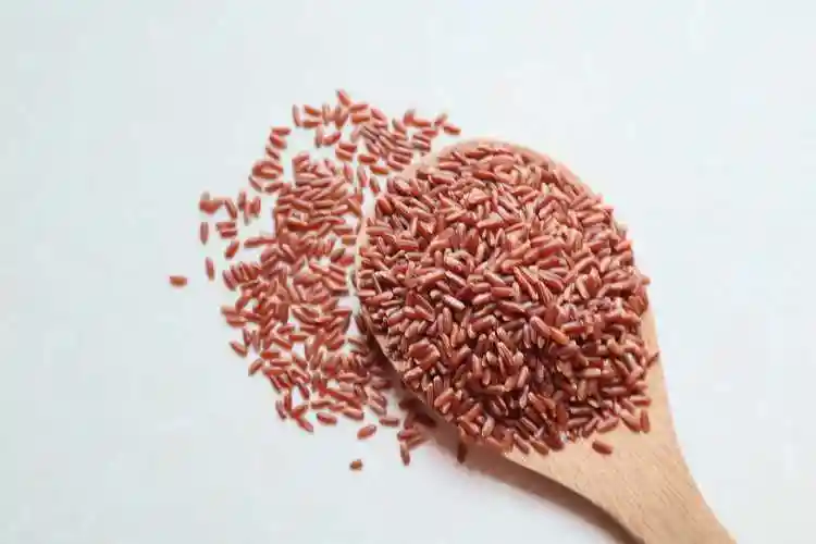 食用大米10提起发(2kg装海水稻红米)