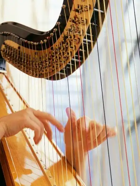 十大最难学的乐器想艺考避开这10种乐器不然后悔莫及