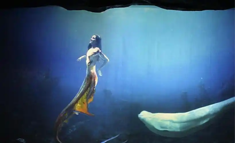 美人鱼之谜,可能属于人类的分支,不同的环境产生了不一样的外形