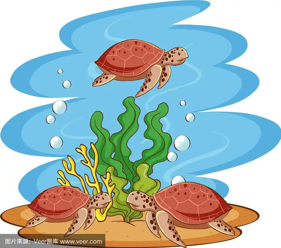 海龟在海里游泳
