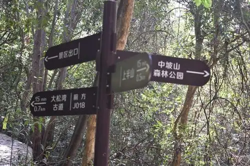 中坡山森林公园