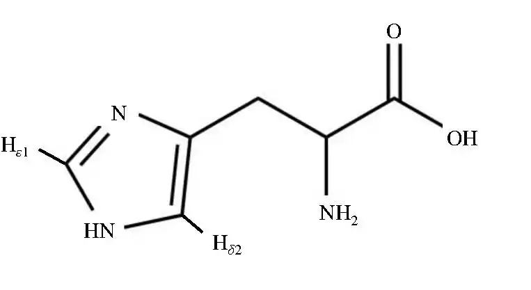 2 the diagram of histidine