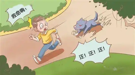 【社区漫坛】无奈:公园被狗追着咬,希望有人管一管_流浪狗_先生_雅山