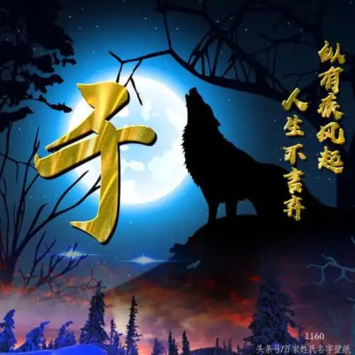 霸气图片大全32个超霸气的狼腾图