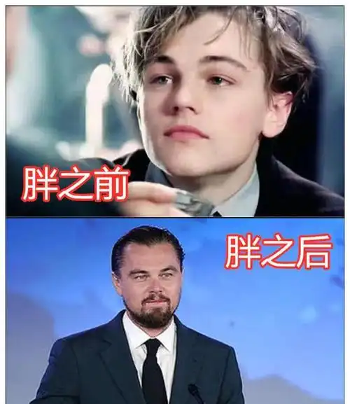 都是一胖毁所有日本松山健一美国小李子看到中国心痛