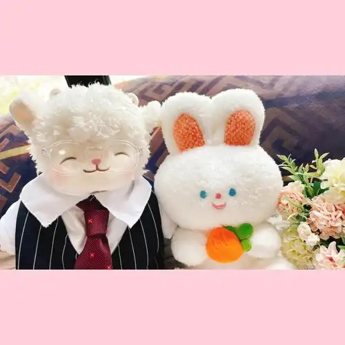 陆沉羊羊和小兔子