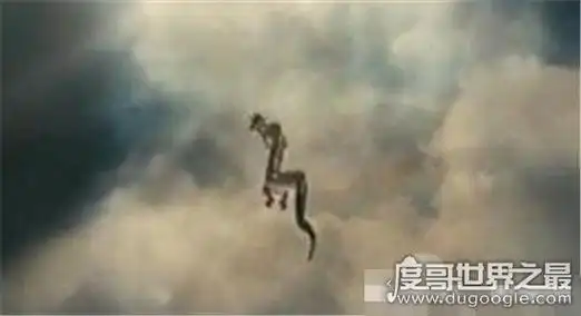 罕见的06年真龙吃人的照片曝光,传说中的龙真的存在