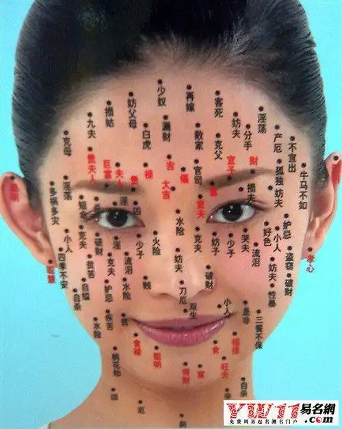 男女面部痣相图解大全