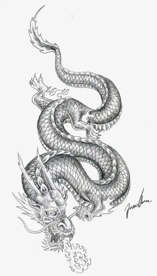 关于龙的素描简单简笔画