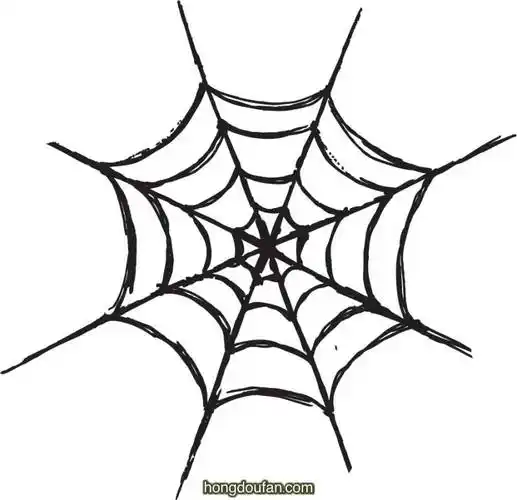 一起学习画蜘蛛网!夏洛特的网要如何画?-红豆饭小学生简笔画大全