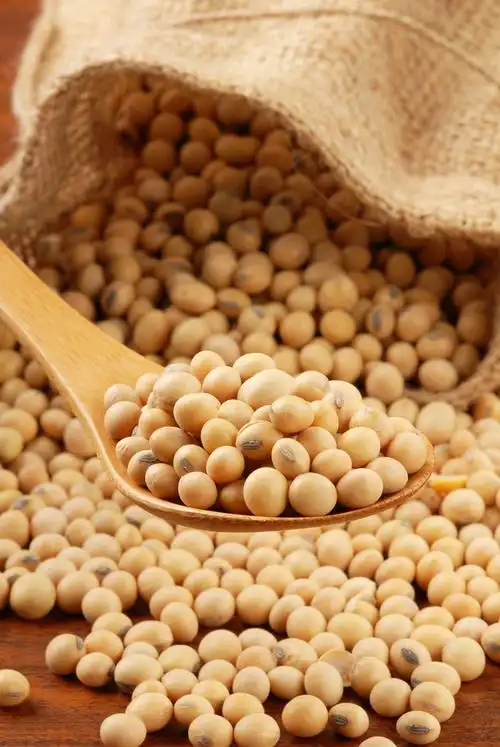 日本图片_日本图片大全_全景图片