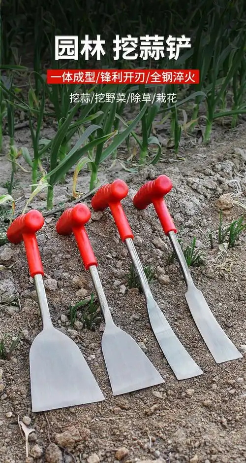 挖野菜的小铲子神器挖蒜铲子拔草园艺种菜除草工具挖菜专用铲蒜铲