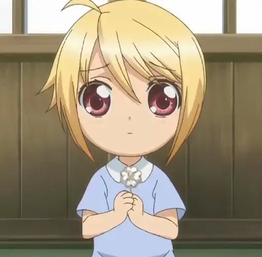 守护甜心#3月 29 日是 边里唯世的生日