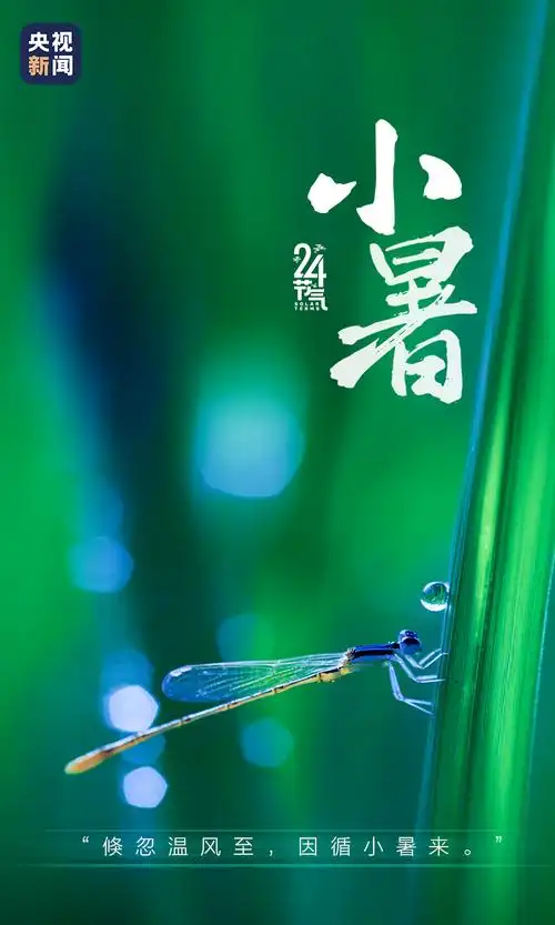 小暑至入伏倒计时