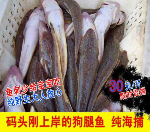 新鲜辫子鱼 一斤约2条鲬鱼 拐子鱼 海捕海鱼狗腿鱼14.5元半斤特产