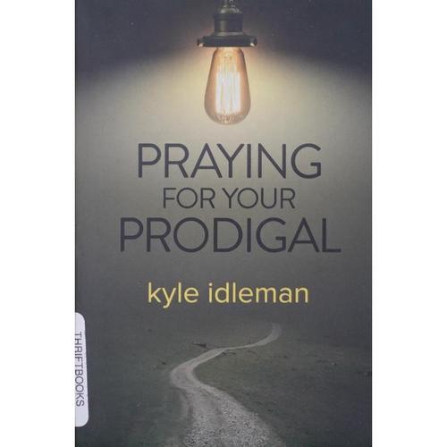 praying for your prodigal by kyle idleman平装david c cook为你的