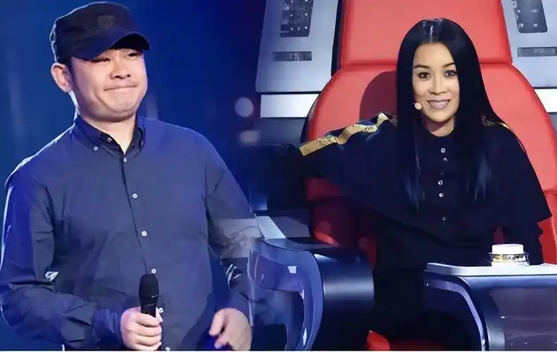 沉寂9个月后,那英再次赢刀郎,资本的套路看得我脊背发凉