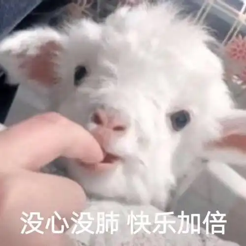 没心没肺快乐加倍绵羊表情包近期斗图表情包精选2019924斗图表情