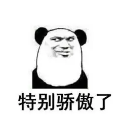 熊猫骄傲表情包20张