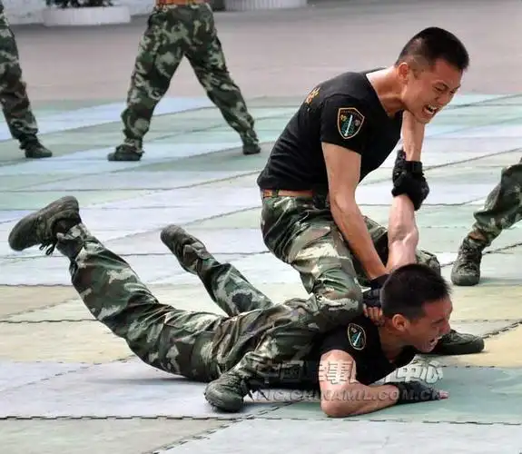 擒拿格斗的内容简介