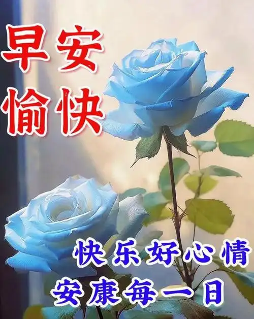 早上好漂亮问候语图片|快乐|丰盛|甜蜜|幸福|早安_网易订阅