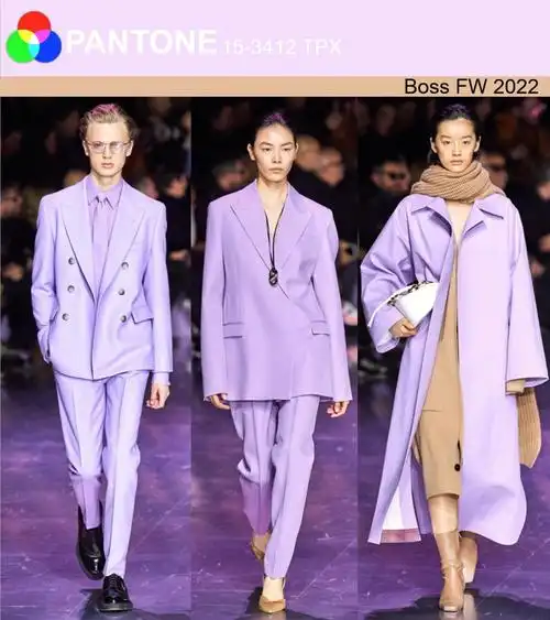 100场服装色彩搭配016高贵紫色