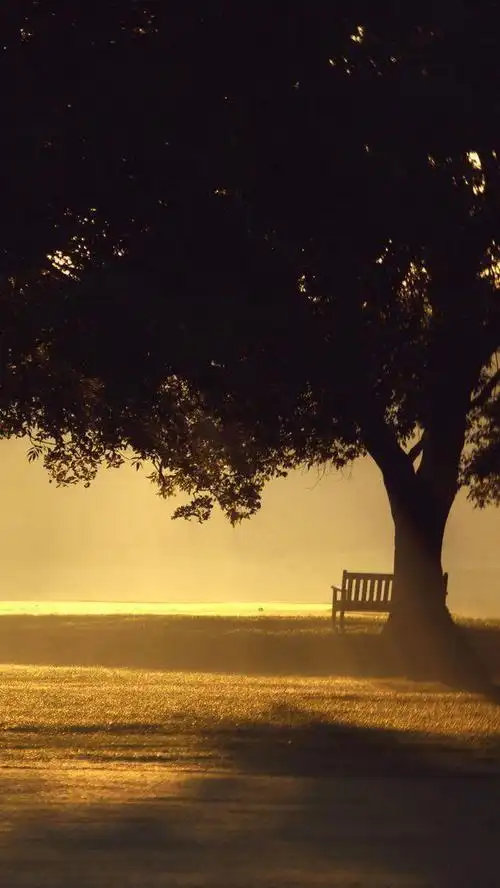 唯美意境孤独长椅