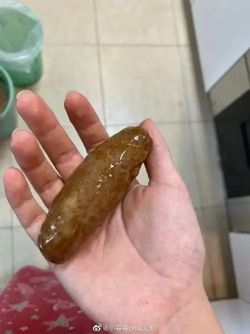 网络大型蒸屎现场又来了求求你们收手吧