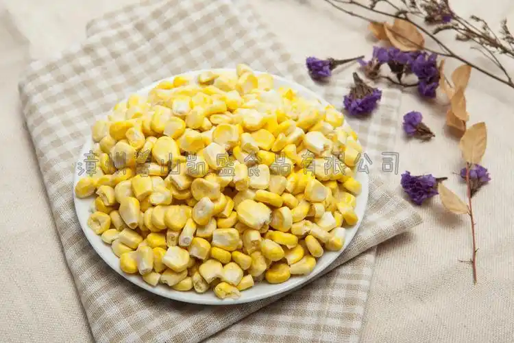 散装批发玉米粒 冻干玉米粒 玉米脆