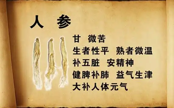 人参的功效与作用