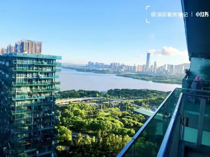 深圳湾超级总部基地豪宅红树西岸稀缺户型