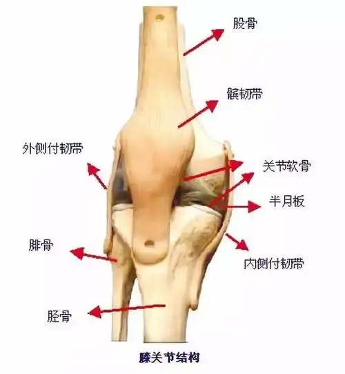 髌骨软化的这些表现你膝盖中箭了吗