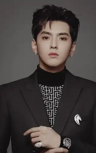 吴亦凡戴的胸针价值300万,那是把几套房子挂在身上了?