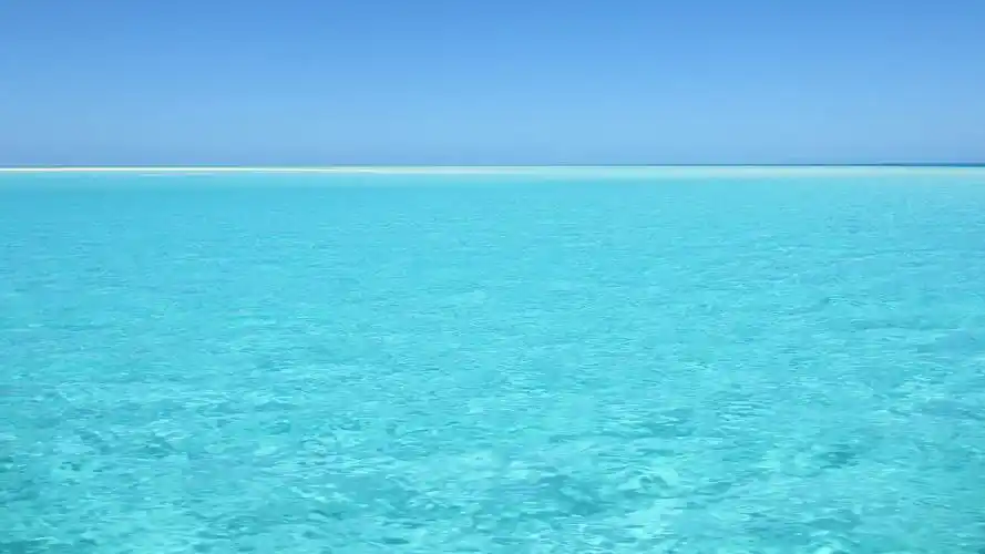 在初秋的海里畅游 - 简书