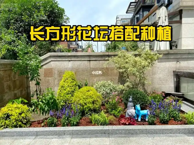 长方形花坛搭配种植案例