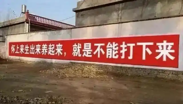 计划生育与鼓励生育标语对比