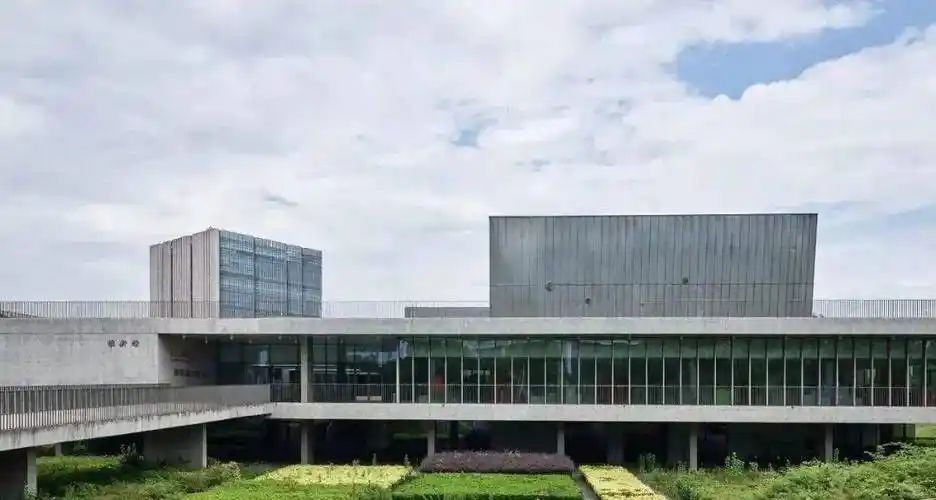 "硕士点并招生同济大学电影学院建立2003新闻传播学科的两个专业之一