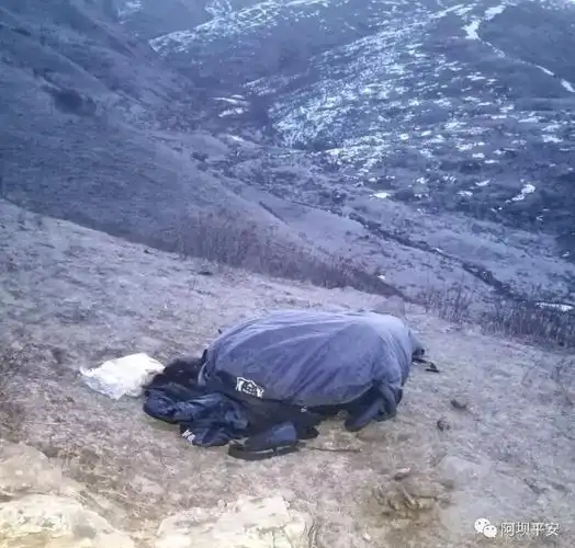 四川阿坝恶势力头目罗登被执行死刑号称不怕阎王的人抓捕时惊心动魄