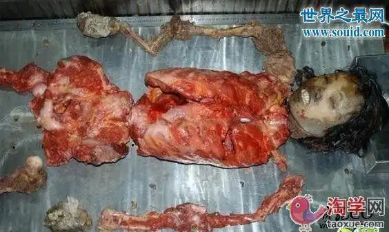 中国十大悬案14年间杀害9名女子奸尸至今未破