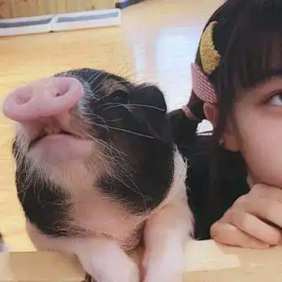 沙雕头像225张 高清好玩又智障又沙雕的头像图片