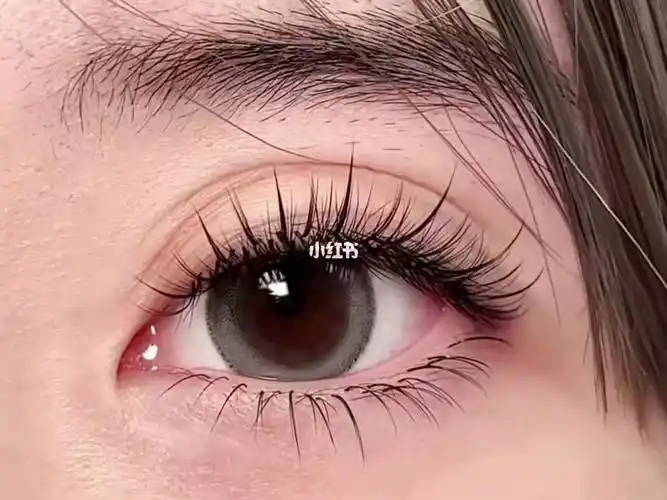 网红天鹅绒多层次嫁接睫毛