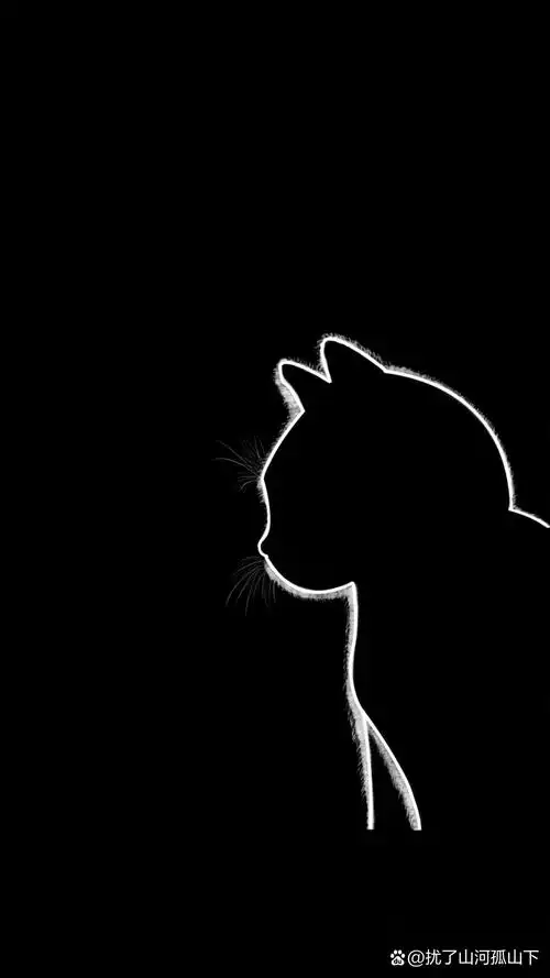 个性简约的全屏手机壁纸