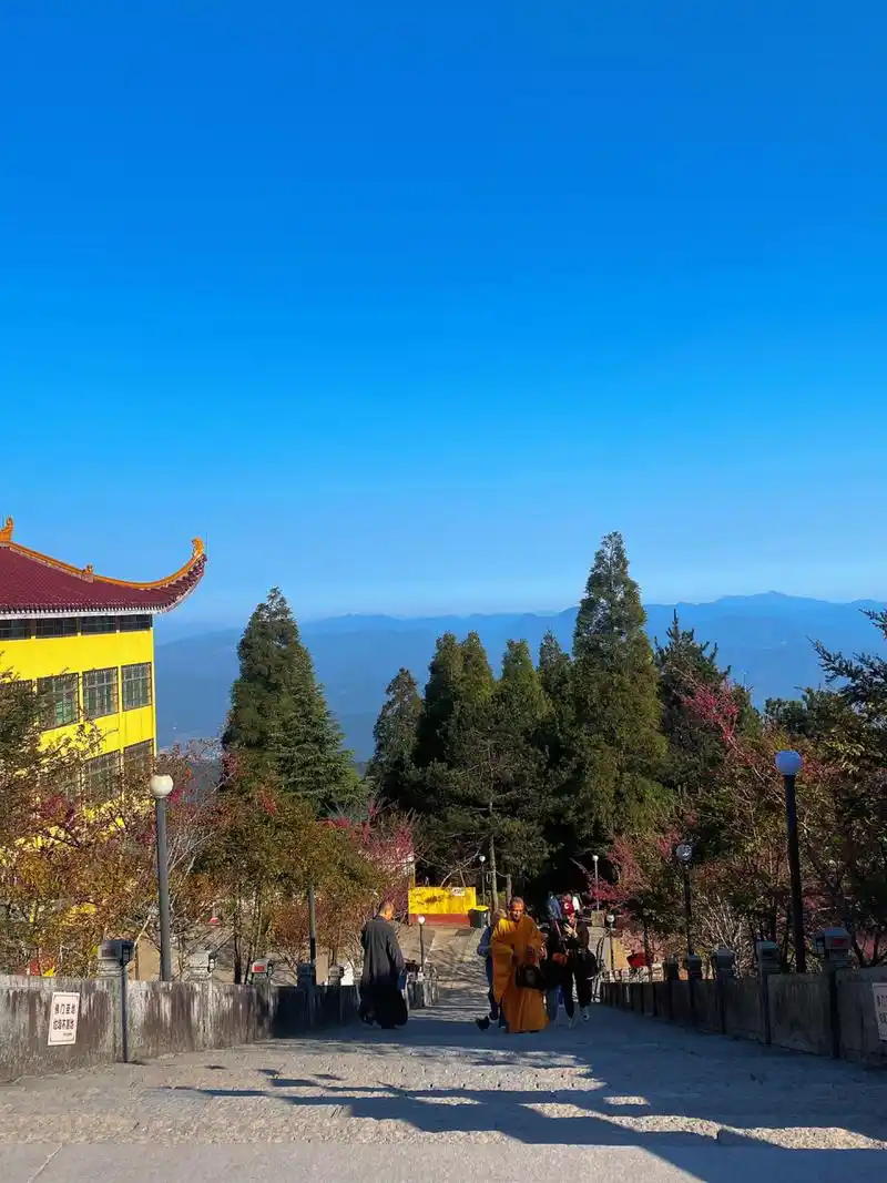 福建周边/龙岩天宫山/自驾游一天 去天宫山7215的路上 真的是山路