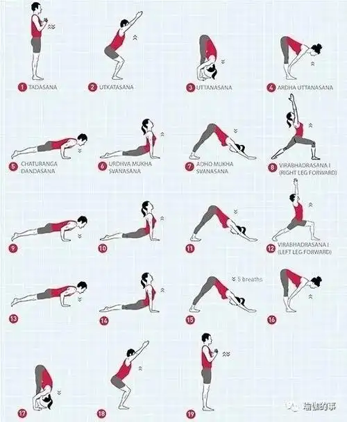 第2套《拜日b》