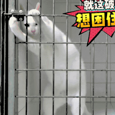 还想拯救一下图片_还想拯救一下动态图_还想拯救一下表情包gif动图